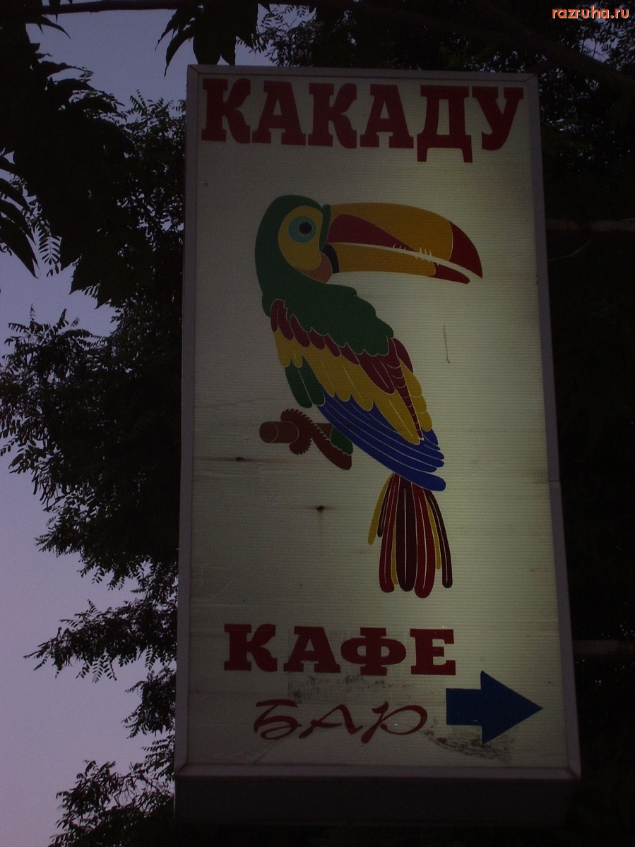 Щёлкино - Какой-то туканистый какаду