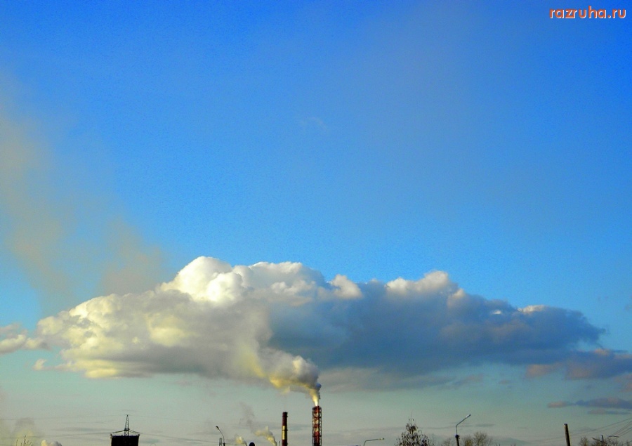 Новодвинск - Неядерный гриб