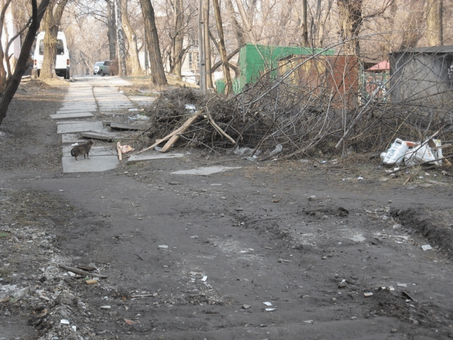 Днепродзержинск - мусор