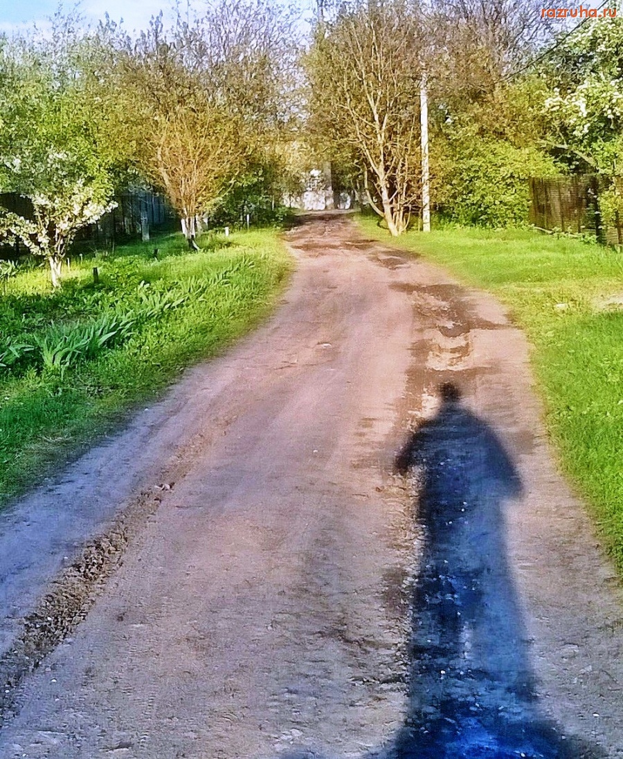 Синельниково - Дороги отродясь небыло