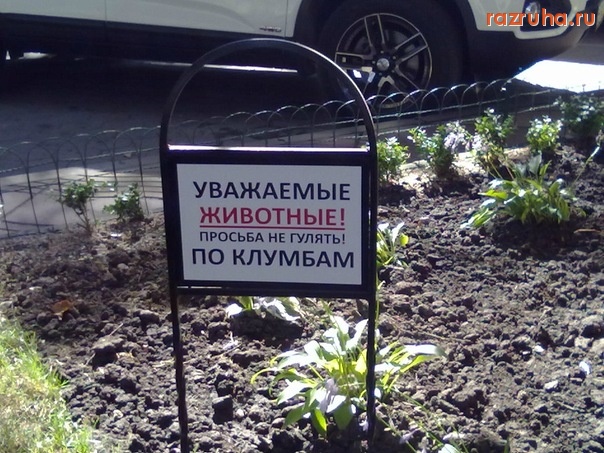 Одесса - уважаемые животные!