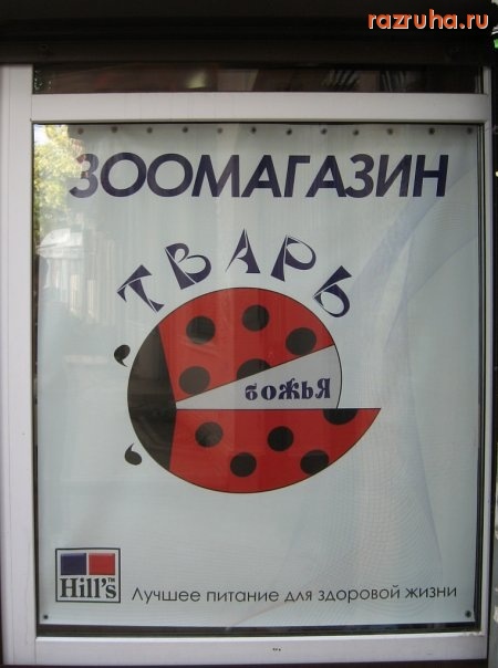 Одесса - Отличное название для зоомагазина =)