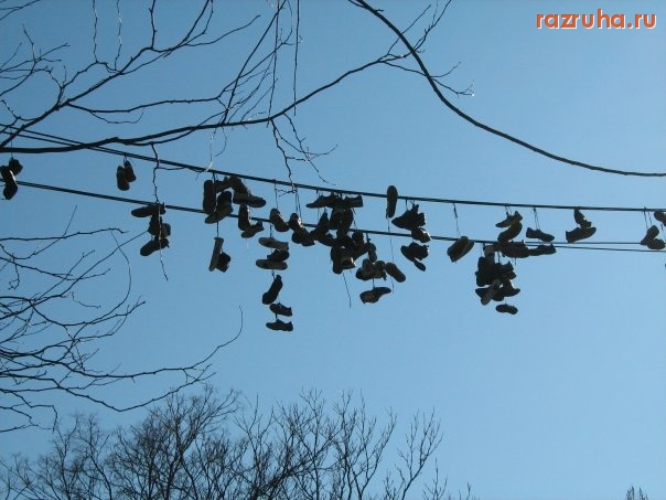 Одесса - выбираем кроссы)