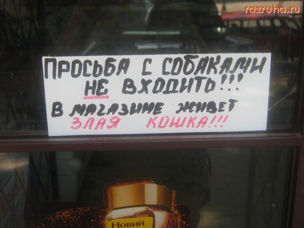 Одесса - с собаками не входить)