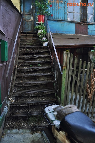 Одесса - ступеньки в хату)
