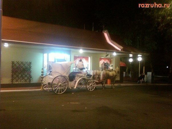 Одесса - Посетители Мак Драйва )