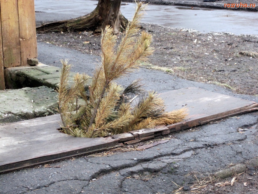 Краматорск - 