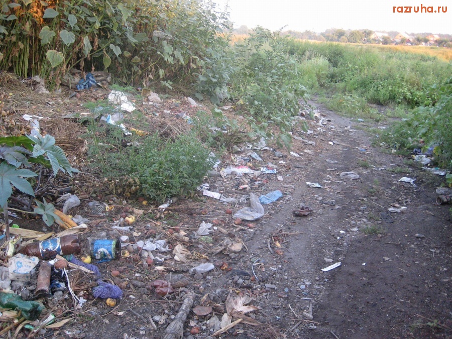 Святогоровка - И чего здесь только нет!