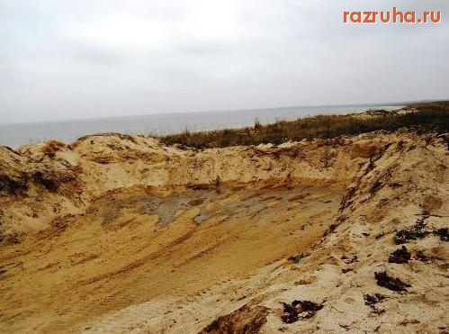 Седово - Из заповедной зоны тоннами вывозят песок