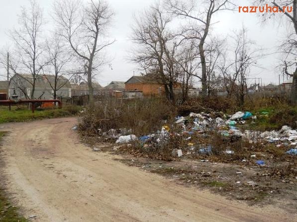 Седово - Свалка вместо вывоза