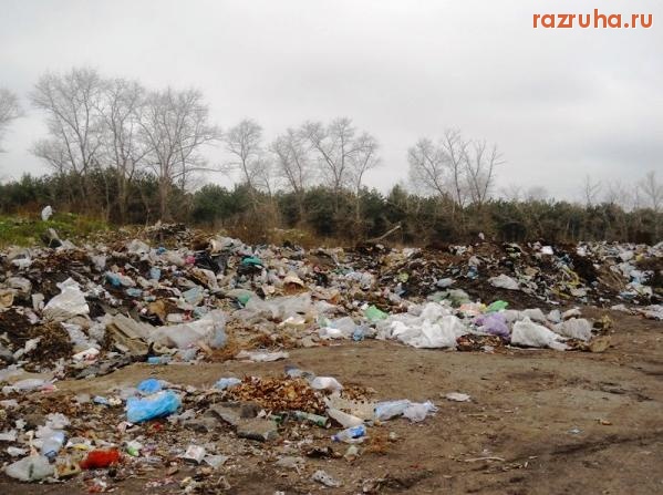 Седово - Свалка имени Вовы и Сережи. Теперь имени Вити