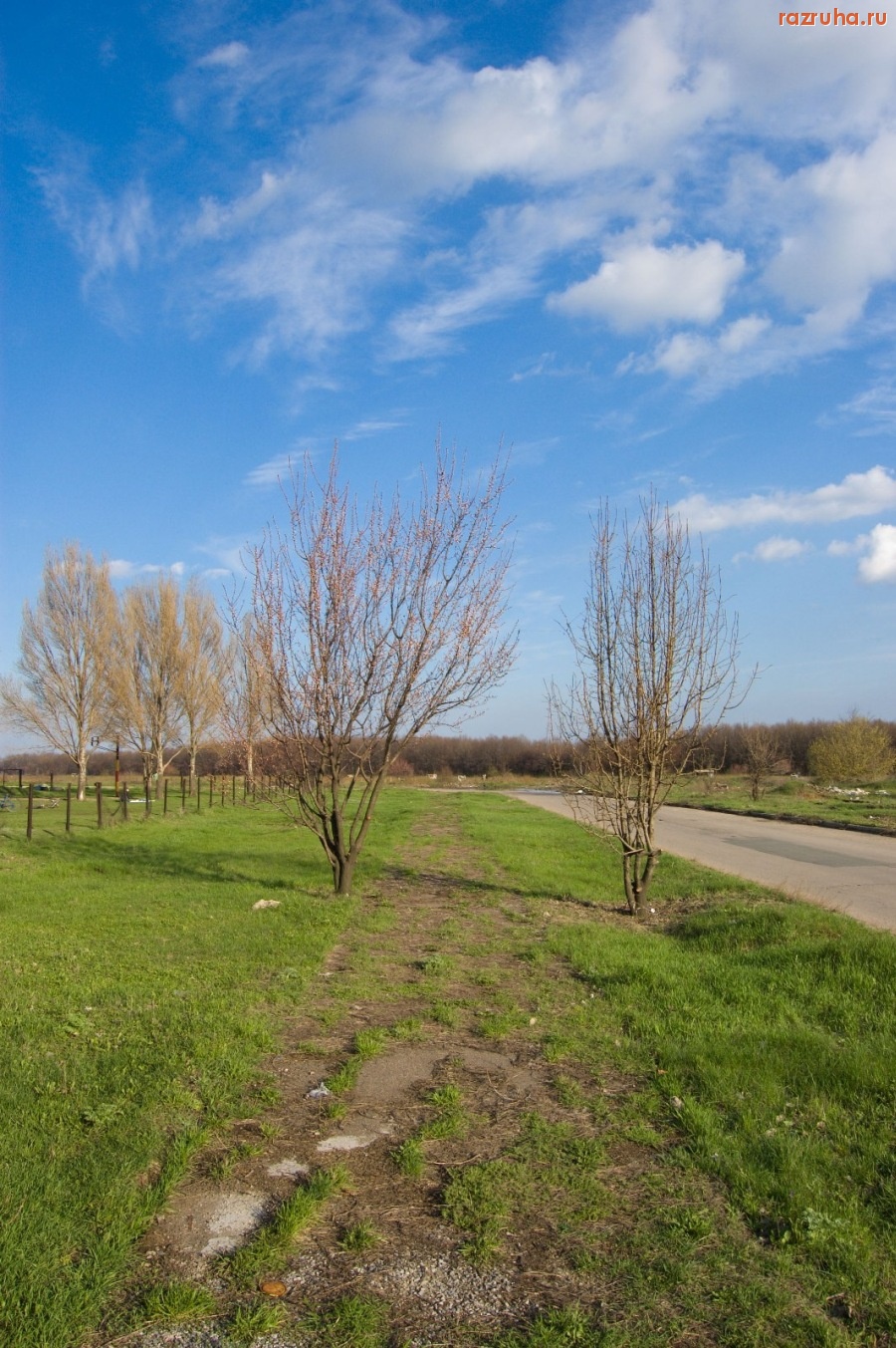 Донецк - Тротуар