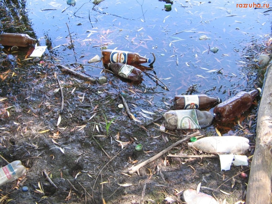 Донецк - Путиловский ставок