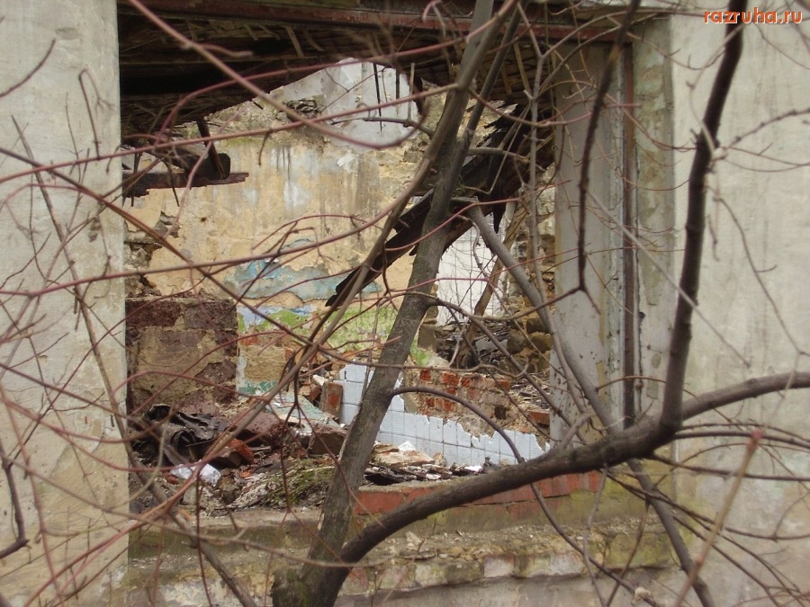 Донецк - Окно