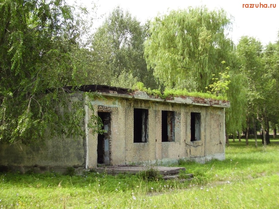 Донецк - Трава на крыше