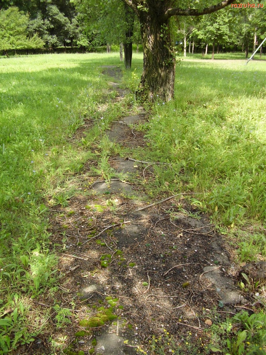 Донецк - Тротуар