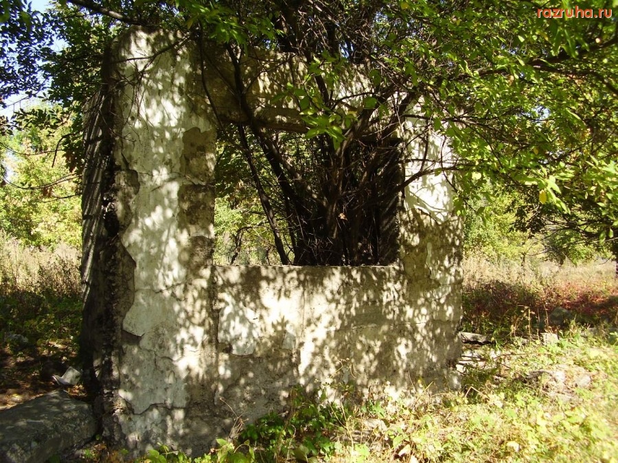 Донецк - Дерево в окне