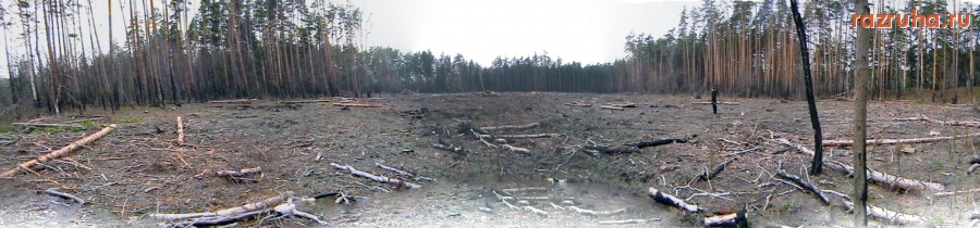 Шебекино - Лес рубят...!