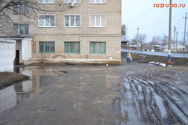 Новый Оскол - Белгородская обл., г.Новый Оскол, ул.Обыденко, 52 (плюс еще невыносимая вонь и кошмар в подъездах)