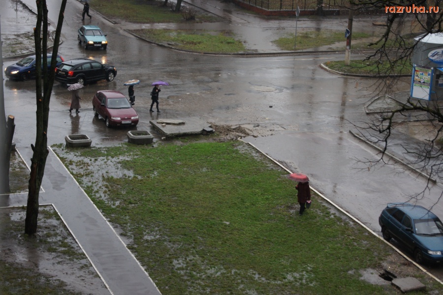 Брянск - Люк на перекрёстке