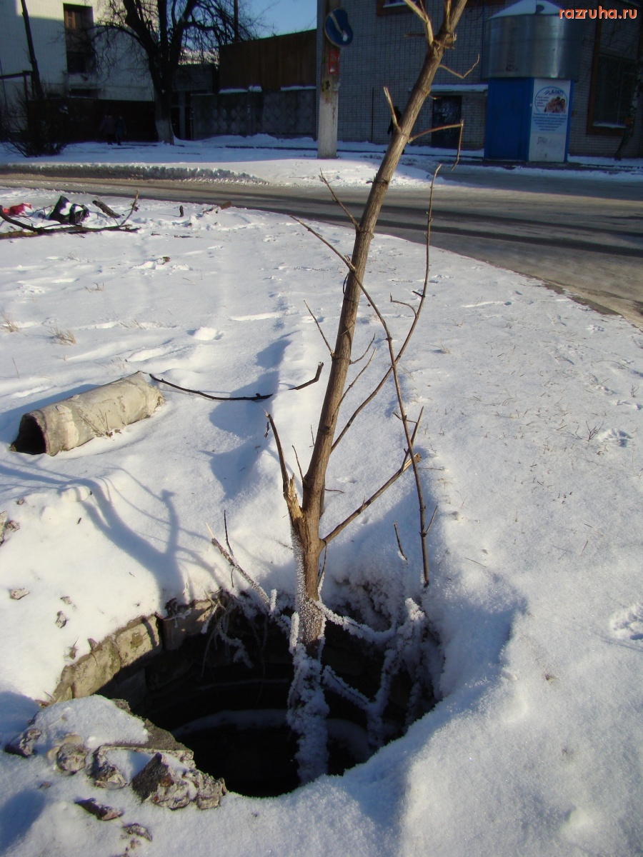 Брянск - Люк