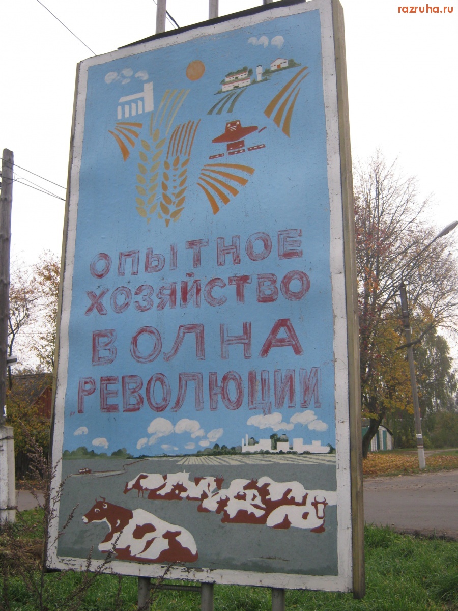 Новозыбков - Волна революции