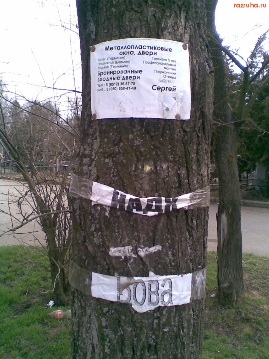 Николаев - Информационное дерево на кладбище Жовтневого района