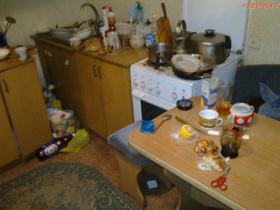 Николаев - До чего могут довести жильё квартиранты