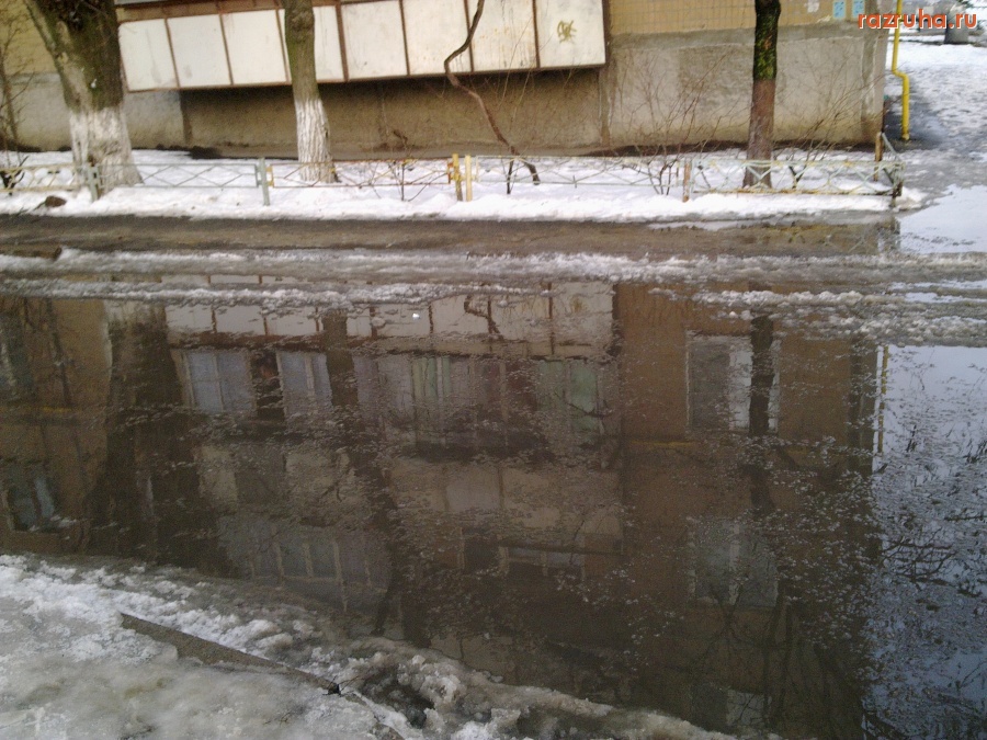 Николаев - Лужи