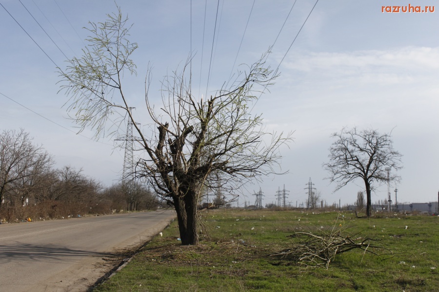 Николаев - ... кому вер(Б)ная смерть!