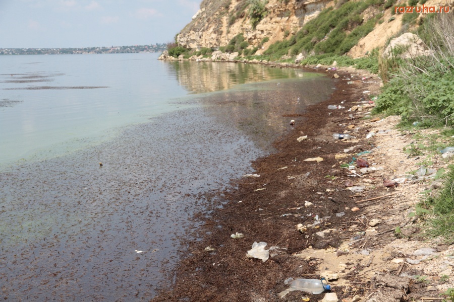 Николаев - В канун курортного сезона