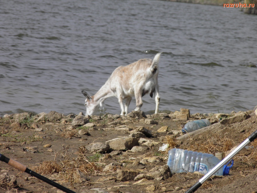Николаев - Хорошо,что воду еще не загадили