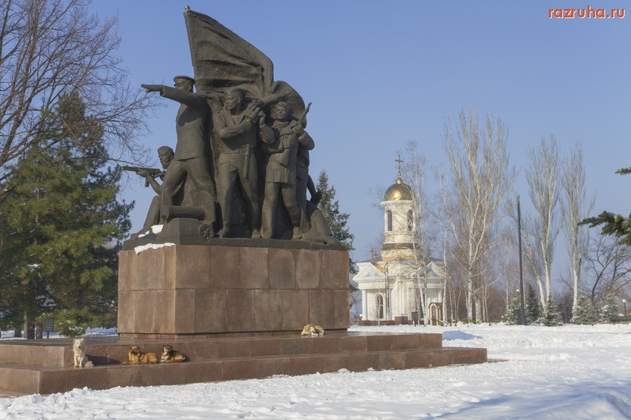 Николаев - Собаки