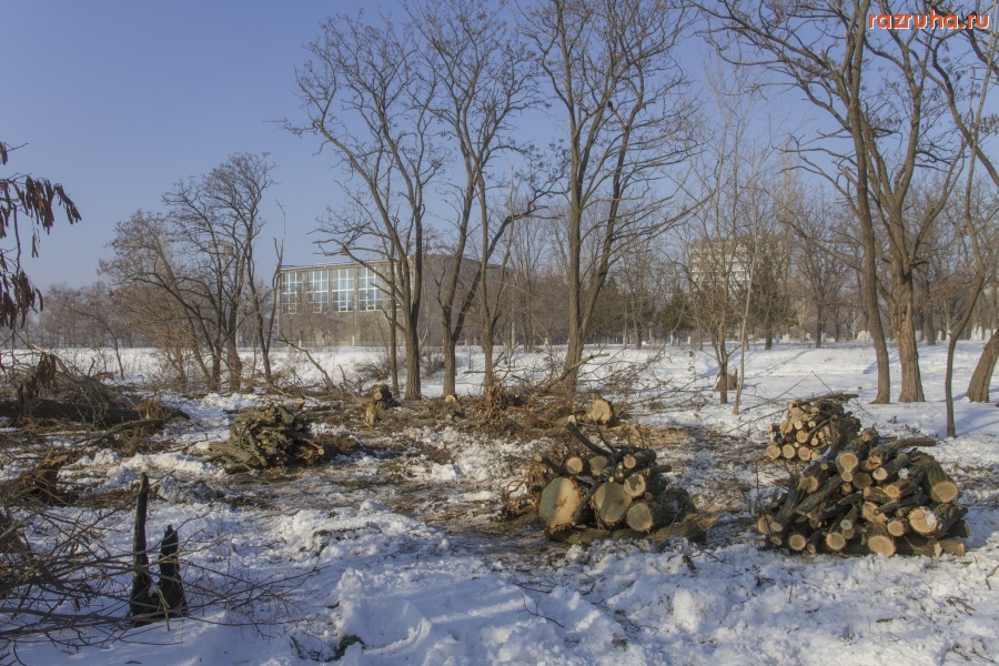 Николаев - Лесоповал