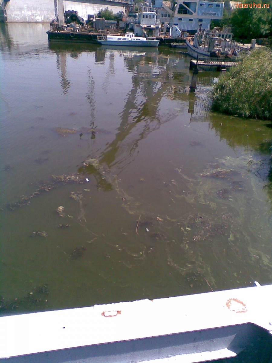 Николаев - Нефтяное пятно из Мексиканского залива уже достигло Николаева?