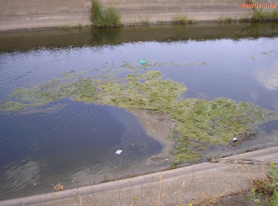 Николаев - канал