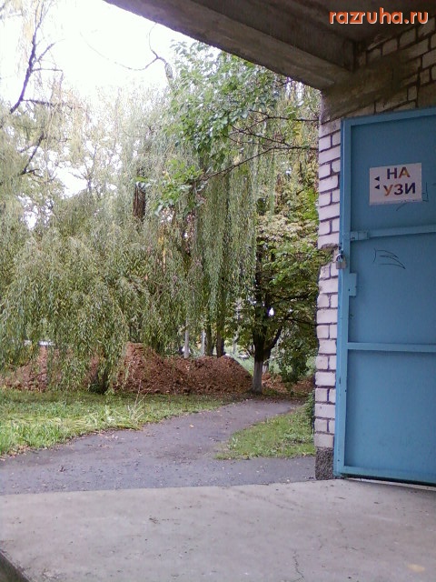 Николаев - УЗИ