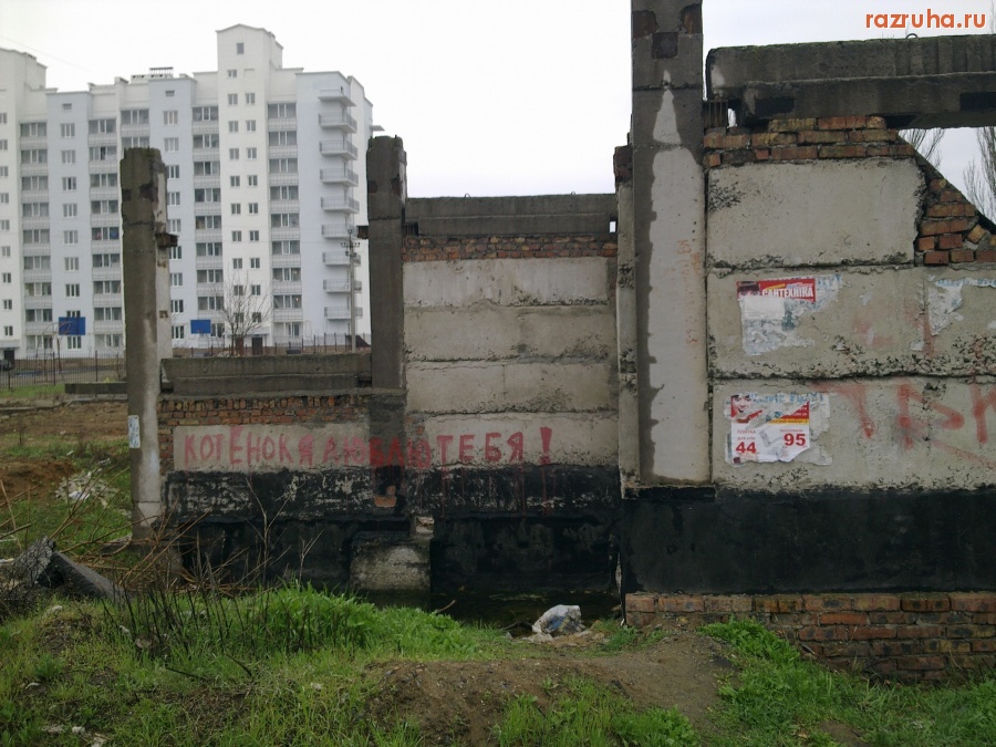 Николаев - Котёнок