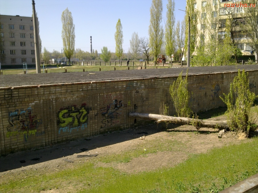 Николаев - Упавшее дерево