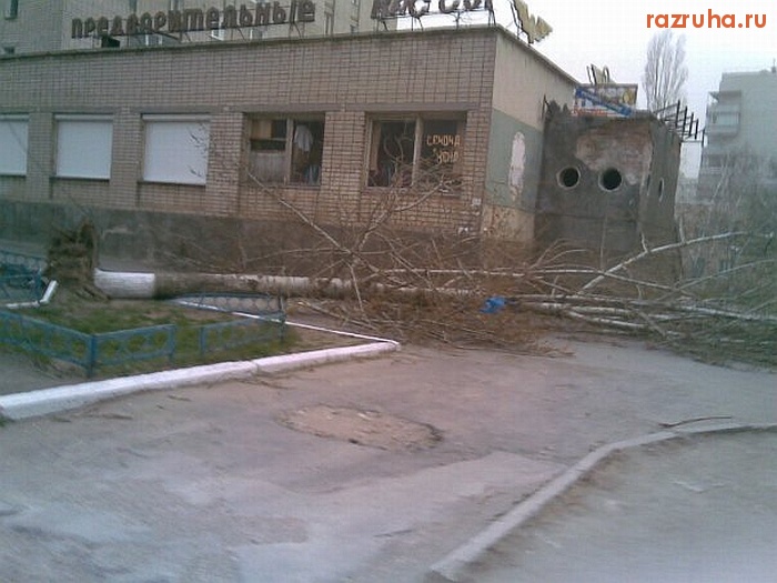 Николаев - Металлургов 28