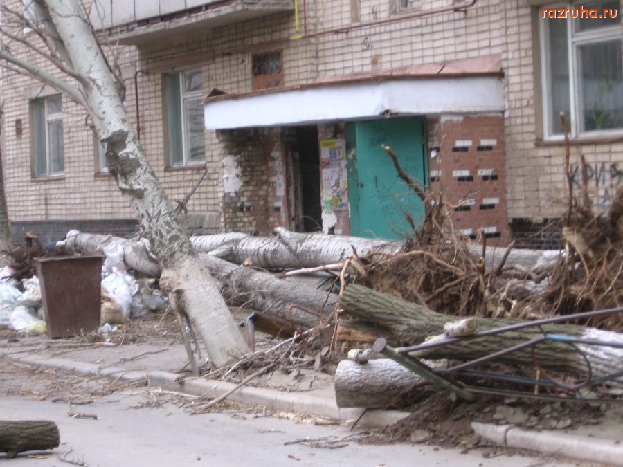 Николаев - Возле подъезда