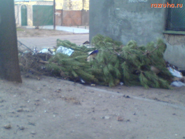 Николаев - Елочки