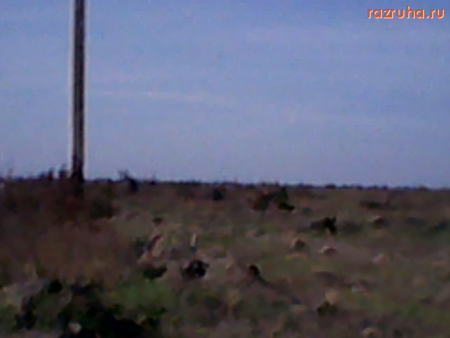 Елизаветградка - Бывший сад