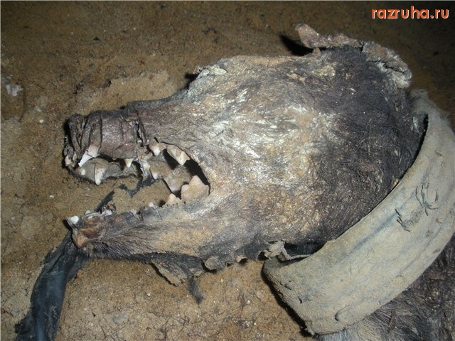 Херсон - Отселенная комуналка на Морской