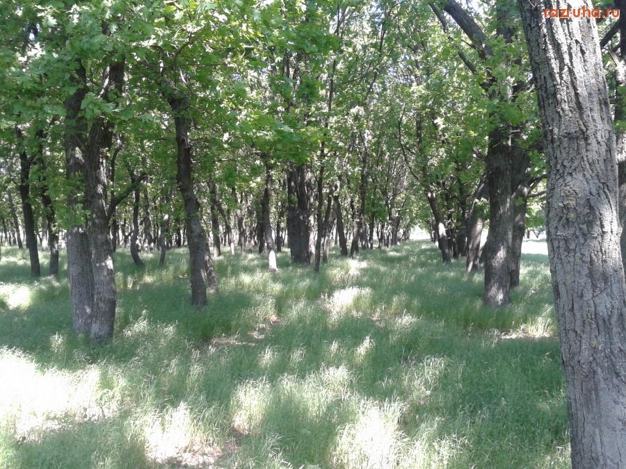 Херсон - Городской парк