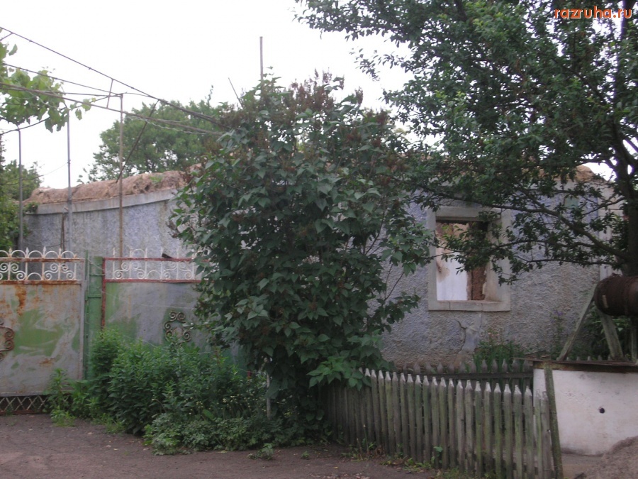 Арбузинка - заброшеный дом 3