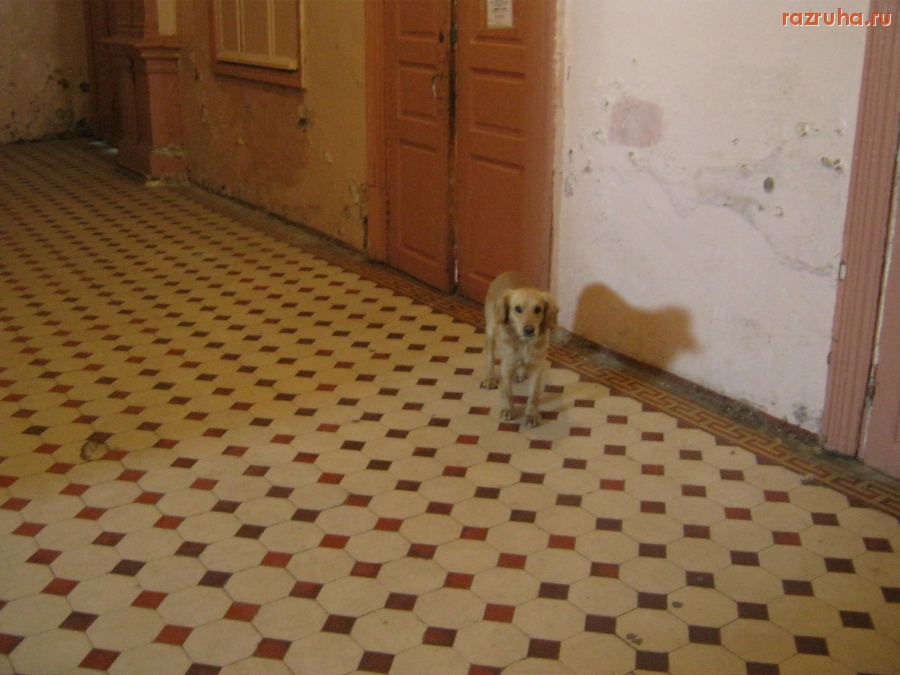 Ананьев - Горсовет