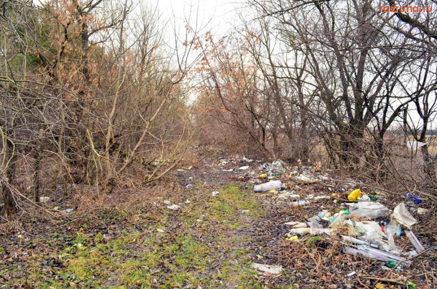 Радивилов - Околица райцентра