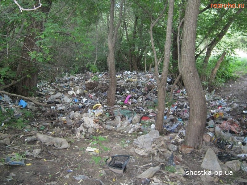 Шостка - Мусорники в частном секторе