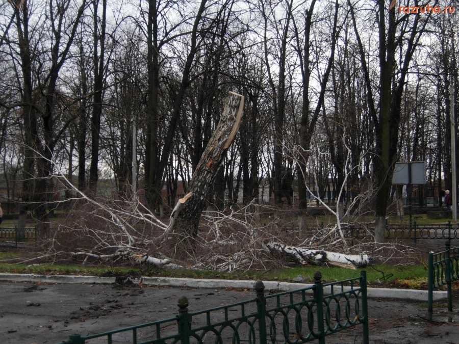 Кролевец - Ураган в Кролевце